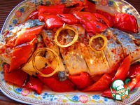 ������ �� ����� �����������