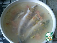 ��� �� ��������� �����������