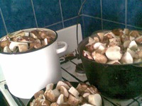 ����� ������������ �����������