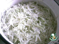 ������� � ������ �����������