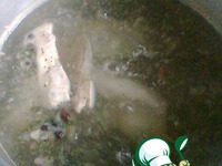 �������� �� ���� ���-������� �����������