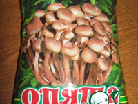 ������� ������� � ������� (�����) �����������