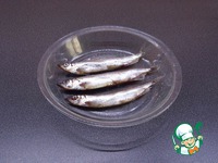 �����, ���������� � ������� �����������