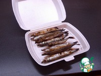 �����, ���������� � ������� �����������