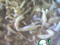 �������� � �������� �����������