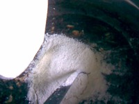 ������ ���� "������ ������" �����������