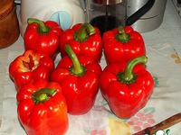 ������������� ����� �����������