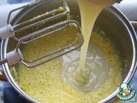 ���� "�������" �����������