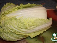 ������������ ������� "��������" �����������