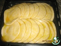 �������� �����������