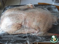 ���� "�������" �����������