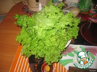 ����� "������������ ������" �����������