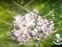 ����� ���������� �����������