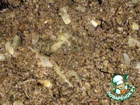 ������������ ���� � ������� �����������