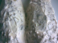 ����� "������� ��������" �����������