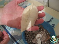 ������ ��������� �����������