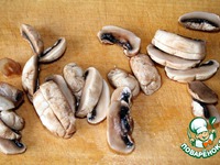 �������� � ������� � ������� �����������