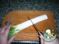 ���� ����� ������������� �����������