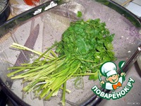 ������ � ������ �����������