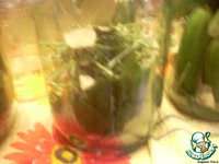 ������� ��������� ������ �������� �������� �����������