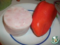 �����������-��������� �������� �����������