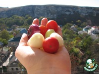 ����� "����� ��������" �����������