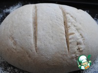 ����� ������� ���� �����������