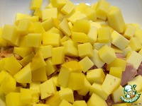 ��������� � �������� � ����e��� ����� �����������