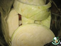 ������ �����e��� � ������ � ������� �����������