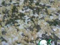 �������� ����� "�������" �����������