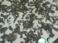 �������� ����� "�������" �����������