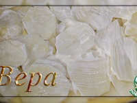 ���������� ��������� �����������