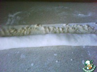 ���� �����������