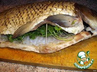 ���� ��-���������������� �����������