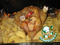 ������, �����e���� � �������� "�����-�������" �����������