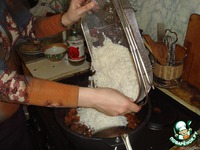 ���� � �������� �����������