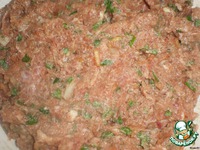 �������� �����������