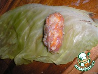 ������� �������� �����������