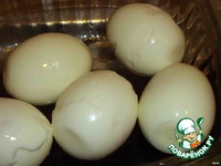 ������ �������� � �������� � ������� �����������