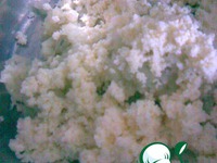 ������� �� ������ ������� �����������