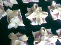 ���������� ������ �����������