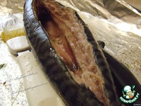 �������� �� ��������� ����� "������� ����" �����������