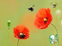 � ��� ������ ����?