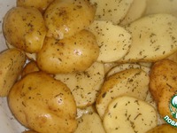 �����e���� ��������� � �������� �����������