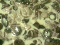 ���������� ���������� �����������