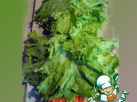 ����� "������ ����" �����������