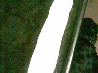 ���� "������� �������" �����������