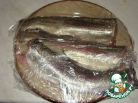 ���� ������������� "�����������" �����������