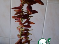 ��� "������" �����������