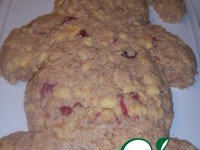 ���� "��������" �����������